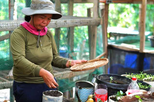 A Sikat farmer preparing soil for the seedlings