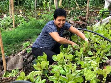Tending to the farm
