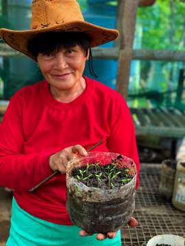 A Sikat farmer holding plant seedlings